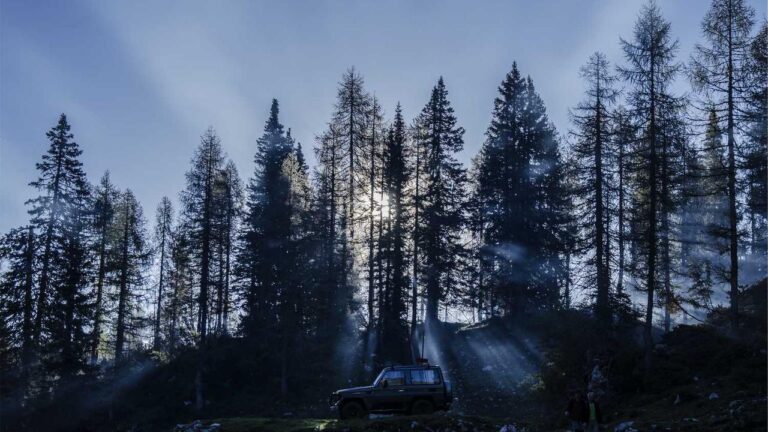 How To Receive Bonus After 11Xplay New Id Sign Up Online?